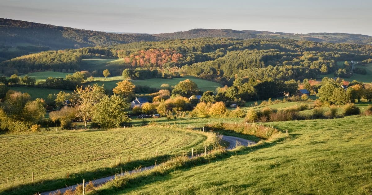 Ardennes