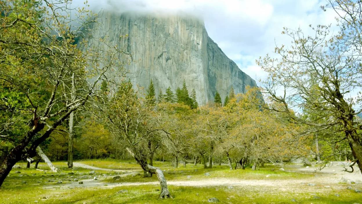 Yosemite in Late Spring: Why May Is the Secret Window to See America’s Most Iconic Park