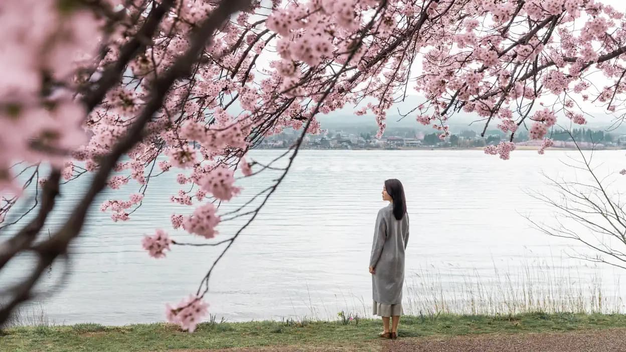 Cherry Blossom Season Is Peaking — Here’s How to Book Last-Minute Flights to DC and NYC